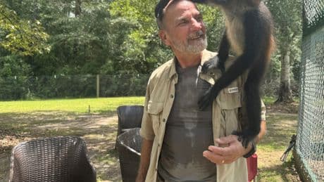 A Mississippi monkey sanctuary helps veterans with PTSD find peace