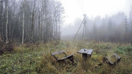 « Les Grands Bruits » : Marente de Moor chroniqueuse du grondement du monde