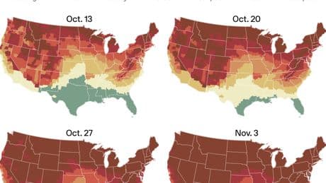 When and where to see peak fall foliage