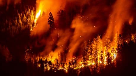 Blame Canada: How Trump can help us from being smoked out of our summer