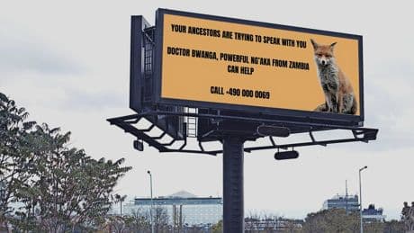Die Berlin-Biennale feiert den Widerstand