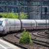 Fahrpreise auf der Schiene: Umfrage: Knapp zwei Drittel halten Bahntickets für teuer