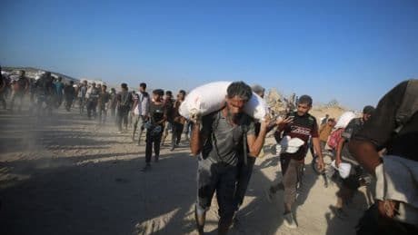 More than 48 Palestinians killed as they wait for flour delivery in Gaza Strip