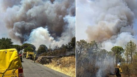 Interrumpida la línea de tren entre Ávila y Madrid por el incendio en San Bartolomé de Pinares, que moviliza a la UME