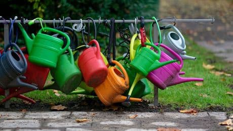 Kriminalität an sensiblen Ort: Wenn Deko vom Grab verschwindet - Diebstähle auf Friedhöfen
