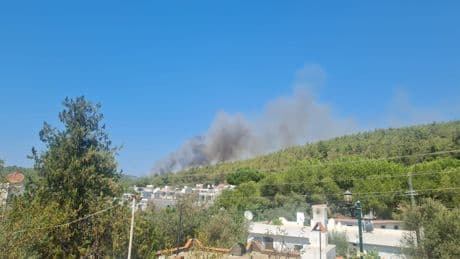 Bodrum'da orman yangını