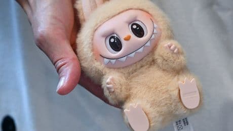 Verbrecher erbeutet Plüsch-Monster - Labubu-Räuber überfällt Kind (12)