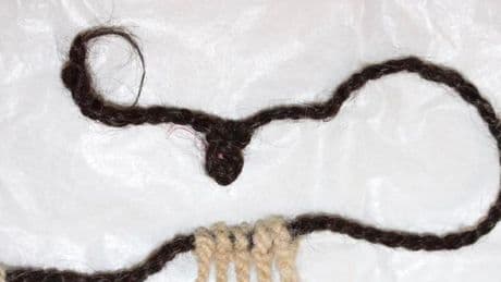 Hair found in Inca device could change what’s known about medieval civilisation