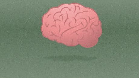 The great poaching: America's brain drain begins