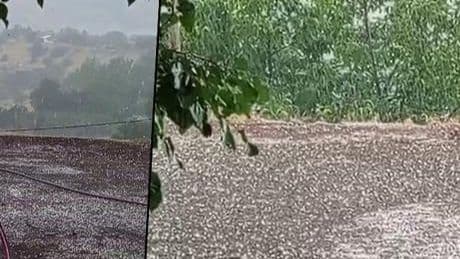 Temmuz ayının sonlarında dolu şaşkınlığı! Çevreyi beyaza bürüdü
