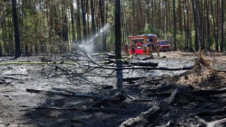 Feuerwehr: Zahlreiche Brände in Brandenburg - Feuer nahe dem Flughafen