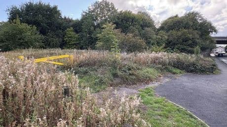 Woman raped in 'brutal racist attack' in broad daylight on busy road