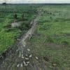 Brazilian state's deforestation amnesty poses 'one of the greatest threats' to the Amazon