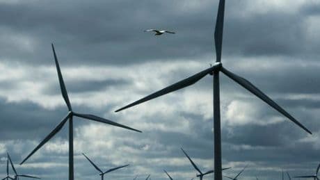 Unions warn Labour must convince Brits of green jobs boost to counter Reform