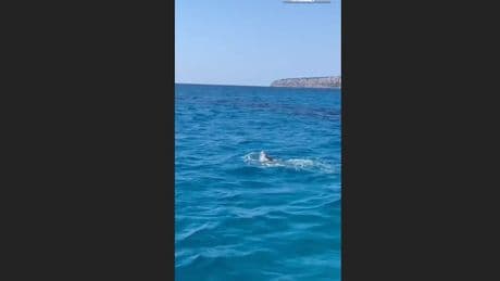 CR7 im Urlaub - HIER planscht Ronaldo vor Mallorca