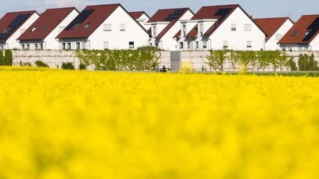 Immobilien: Teurer Wohnen