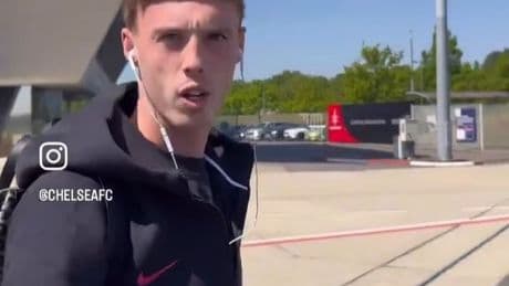 ‘This guy is stupid’ – Moment Cole Palmer gets annoyed as Chelsea stars try to settle ‘100 men vs gorilla’ debate