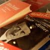 Hitlers ‘verschrikkelijk slecht geschreven’ Mein Kampf honderd jaar: 'Je ziet hoe hij één theorie opdringt'