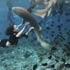 How safe is YOUR dream Maldives holiday? How swimmers have repeatedly been attacked by sharks in paradise islands' crystal clear waters