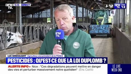 Colère des agriculteurs: "On veut absolument des textes avant la moisson, pour le 15 juin", déclare Luc Smessaert (vice-président de la FNSEA