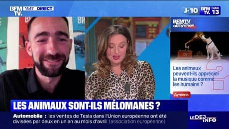 Comment les chauffeurs de taxis réagissent-ils aux propos de François Bayrou ? - BFMTV répond à vos questions