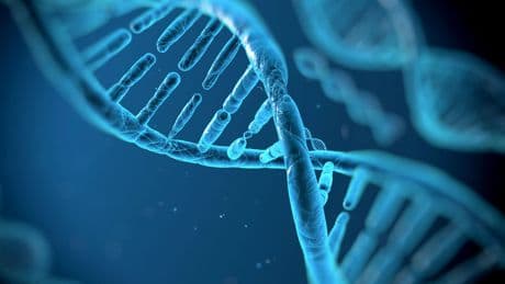 Top doc on how behavior can impact genetics: ‘Our destiny is not fixed’