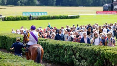 Pferderennen: Beste Steher bei wichtigem Langstreckenrennen in Hoppegarten