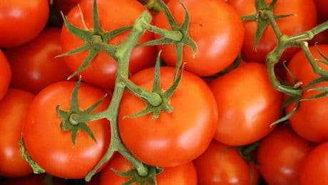5 Symptoms Of Salmonella As Tomatoes Linked To Dozens Of Cases