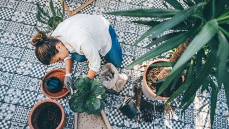 Teure Gartenfehler: Diese 5 Patzer kosten Sie richtig Geld
