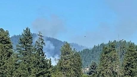 Coeur d’Alene shooting: Two dead as firefighters and police 'take sniper fire' in ambush