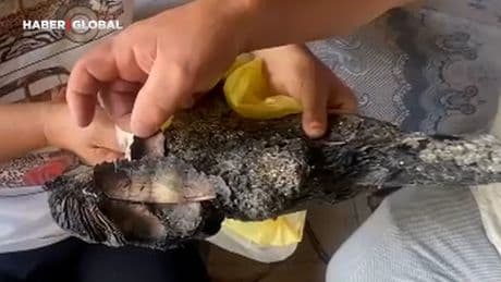 Antalya'daki yangında depoda sakladıkları 90 bin TL kül oldu: Merkez Bankası'na başvurdular