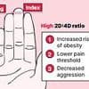 Revealed: What the length of your fingers says about you, according to science