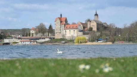 Maximal 24 Grad: Milder Wochenstart mit Sonne und Wolken in Sachsen-Anhalt