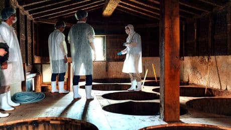 Interested In Fermented Food? Japan's Traditional Producers Can Help You Learn