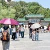 Auch Trump-Effekt erwartet: Krisen dämpfen China-Tourismus enorm