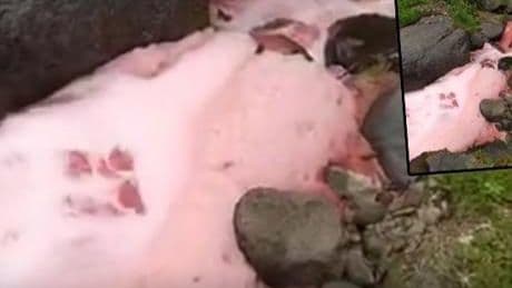 Dere yatağındaki suyun rengi sosyal medyada gündem olmuştu! Rize Valiliği'nden açıklama