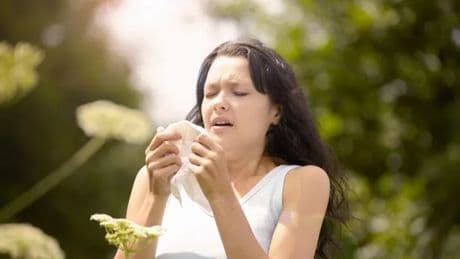 Reason hay fever can get worse when it rains revealed - and it will surprise you