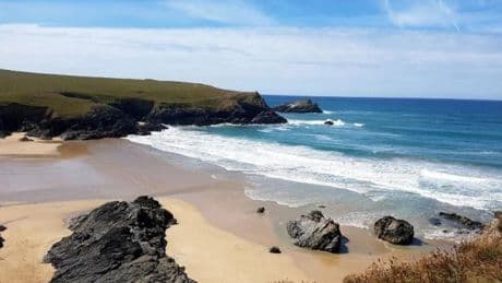 Manhunt for ‘aggressive’ man who chased sheep over cliff to its death in Cornwall