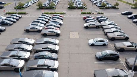Teslas Mega-Flop - Cybertrucks verstauben auf Supermarkt-Parkplatz