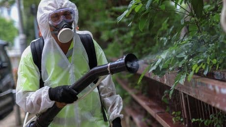 Cases of Mosquito-Borne Chikungunya Virus Are Surging Globally: What to Know