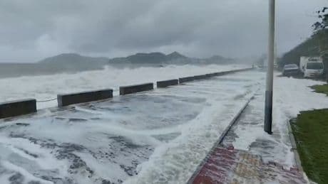 Sept morts, mer déchaînée, vache immergée... Les images impressionnantes du passage d’un typhon au Vietnam
