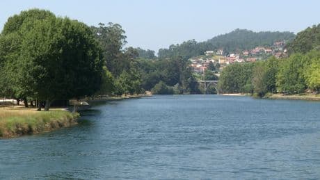 Dos menores, de 14 y 16 años, mueren tras lanzarse al agua desde un muelle y un puente en Pontevedra