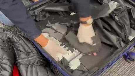 Brit pensioner 'drug mule' claims Mexican gang promised him £3.7m to carry case