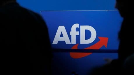 Parteien: Verstöße gegen Parteiengesetz – AfD musste 1,1 Millionen Euro zahlen