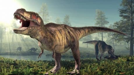 70,000,000-year-old dinosaur could unlock key cancer discoveries