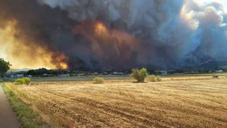 Extremwetter in Europa: Deutschland leidet unter Hitzewelle, in Südeuropa wüten Waldbrände