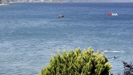 Yüzen vatandaş yunusla burun buruna geldi! O anlar kamerada