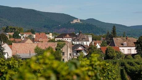 Landesfest: Veranstalter zufrieden mit Start des Rheinland-Pfalz-Tags