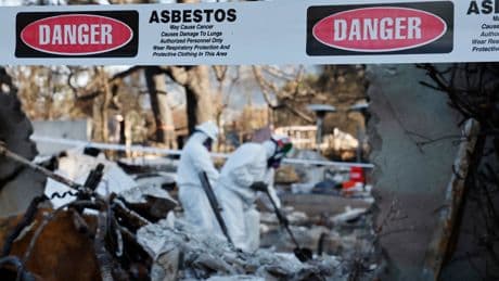 Cancer-causing asbestos has been regulated for decades and removed from buildings. Trump could allow one form to return