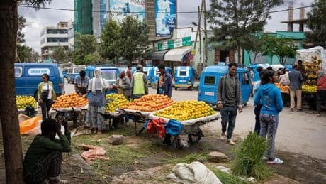 Welternährungsprogramm: Äthiopien droht wegen fehlender Entwicklungshilfe Hungerkrise